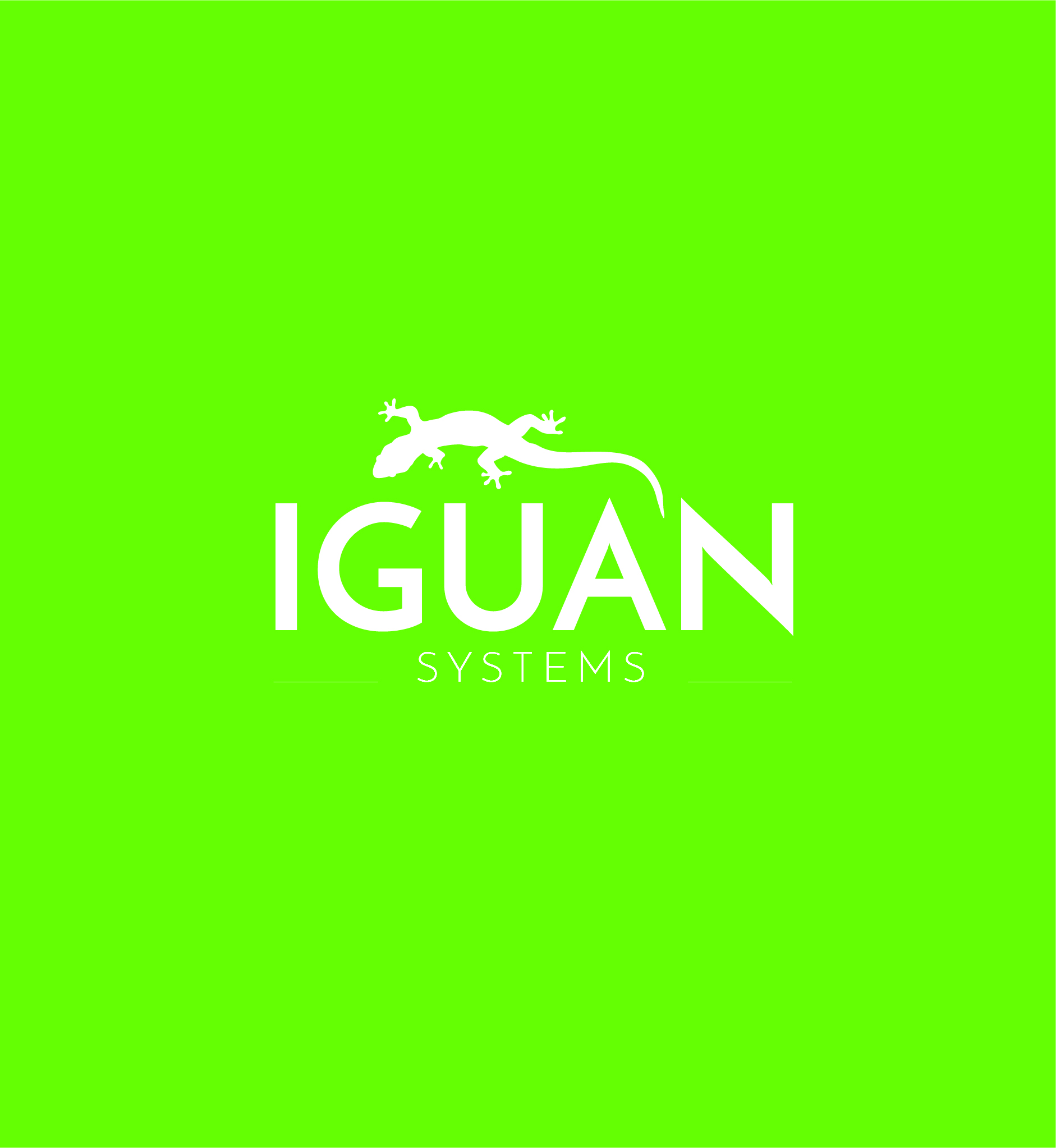 Iguan Systems