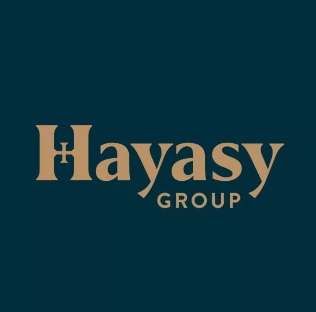 Hayasy Group LLC