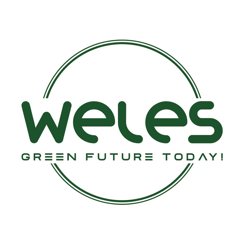 WELES Group of Companies